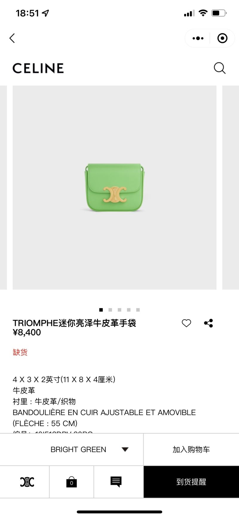 Celine Triomphe Bags